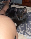 Анкета проститутки Танюша - метро Хорошевский, возраст - 24